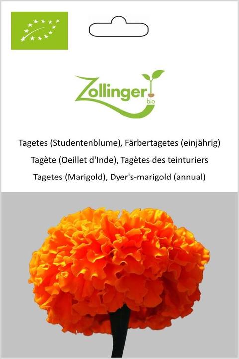 Actual product image Zollinger Bio Tagetes (marigold), dyeing marigold (annual) (Seedlings)