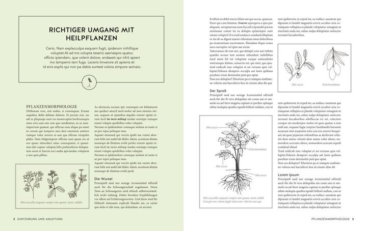 Produktbild Das grosse Buch der Heilpflanzen (Deutsch, Mannfried Pahlow, 2021)