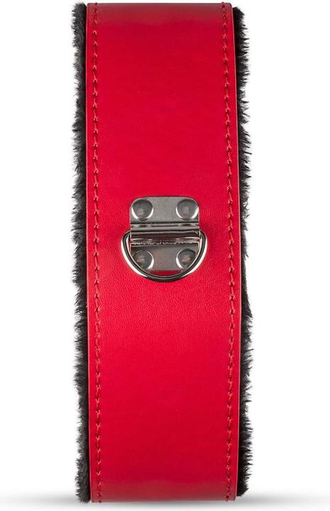 Image du produit Secret Pleasure Chest Red Dragon