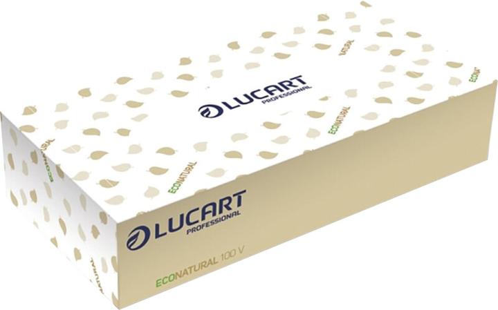 Lucart Kosmetiktücher Econatural, 2-lagig, Packung à 100 Stück