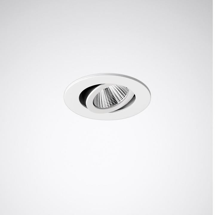 Trilux SncPoint 905 C01 BR-FL LED700-840 (900 lm)