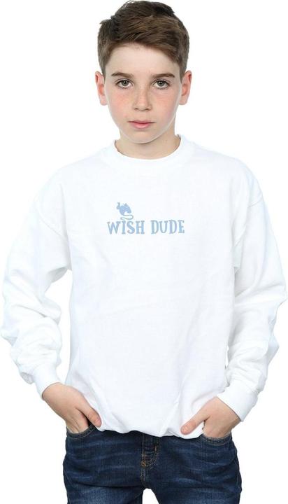 Immagine prodotto Disney Aladdin Wish Dude Felpa Ragazzi (140, 146)