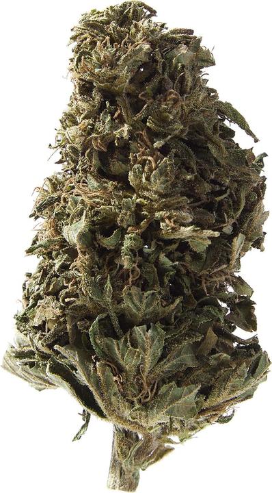 Produktbild Herba di Berna Orangello (45 g, Outdoor)