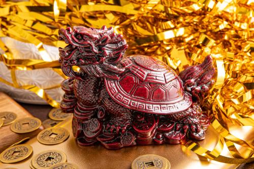 Actual product image Berk Red dragon tortoise
