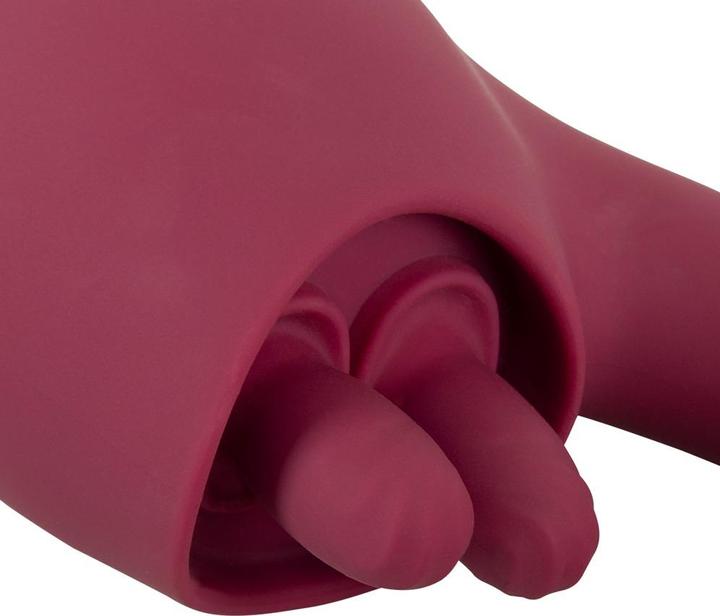 Produktbild Javida 2 Function Vibrator