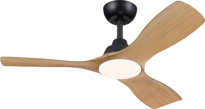 Philips Ventilateur de plafond Olas 28 (ventilateur)+24 W (lumière)