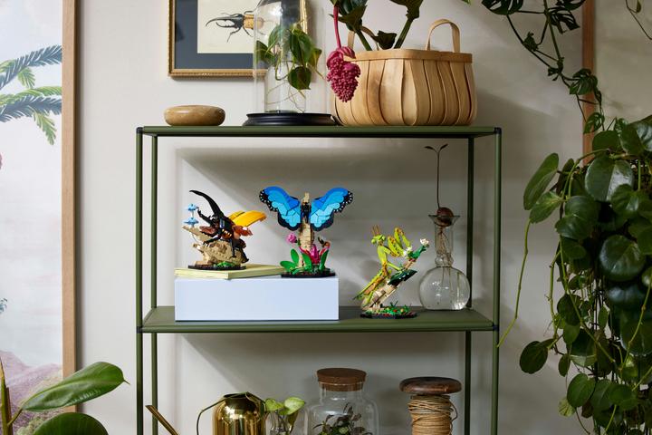 Immagine prodotto LEGO Idee La collezione di insetti (21342, LEGO Ideas)