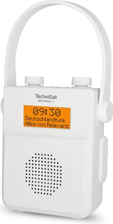 Produktbild TechniSat DigitRadio 30 (DAB+, UKW, Bluetooth)