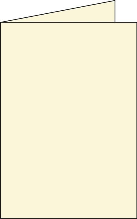 Immagine prodotto Pollen Carta doppia (210 g/m², 25 x, 110 x 155 mm)