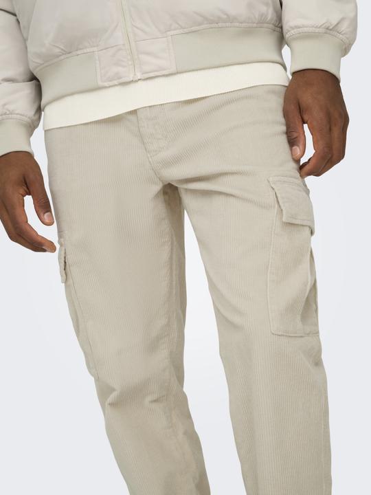 Image du produit Only & Sons ONSLOU Rajeunit Pantalon Pantalon (W28/L32)