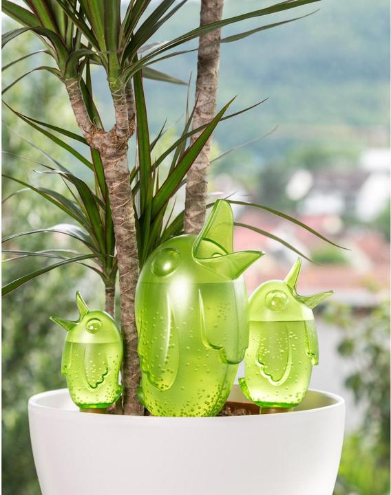 Actual product image Scheurich Bördy XL (Clay cone)