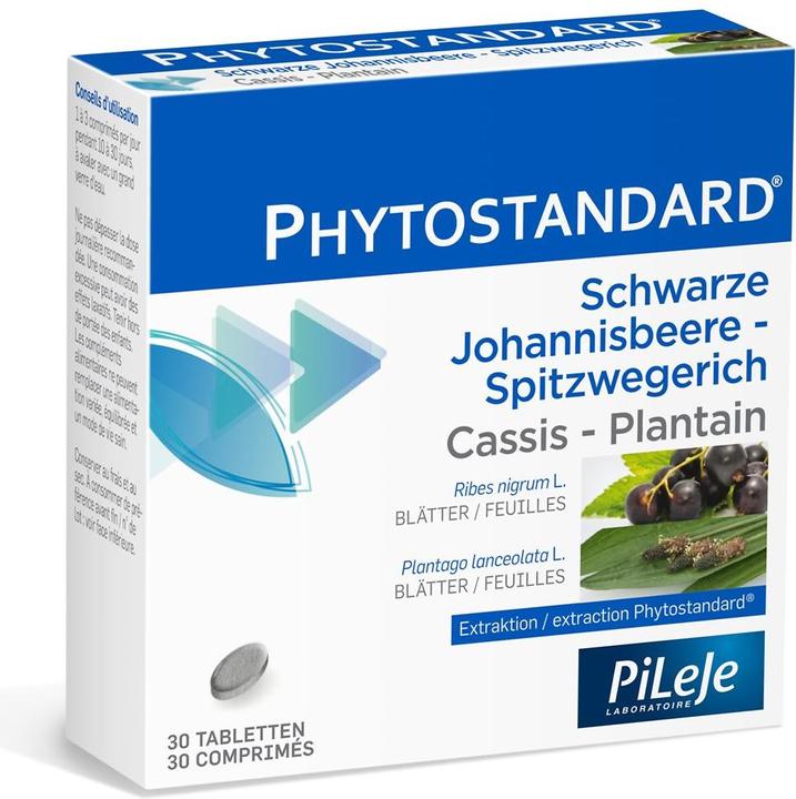 Produktbild Phytostandarts Pileje  Schwarze Johannisbeere und Spitzwegerich (30 Stück, Tabletten, 36 g)