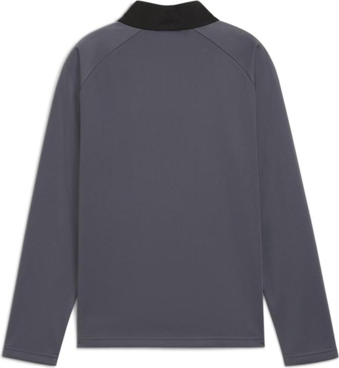 Actual product image Puma IndividualLIGA 1/4 Zip Top Jr (116)