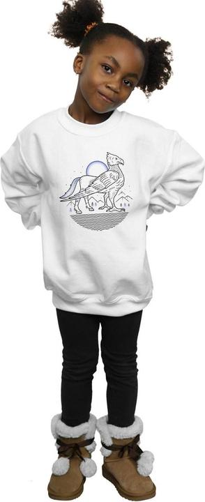 Image du produit - Sweat BUCKBEAK LINE ART - Fille (116)