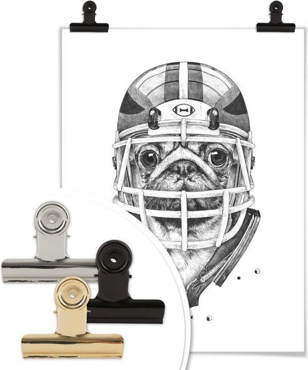 Produktbild Trenddeko American Pug Football (100 x 120 cm)