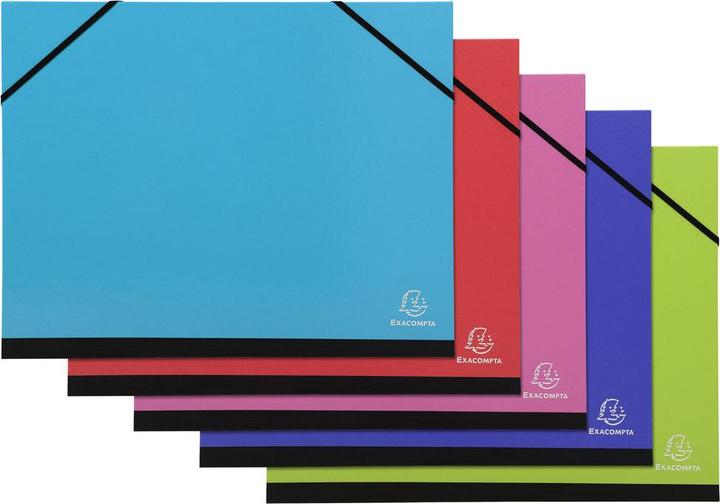 Image du produit Exacompta Dossiers de dessin (B4, 1 x)