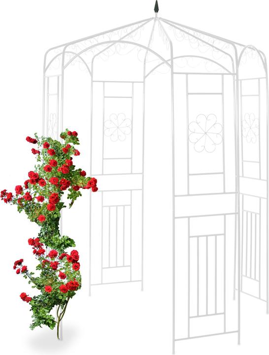 Immagine prodotto Relaxdays Padiglione per rose (160 cm, 160 cm)