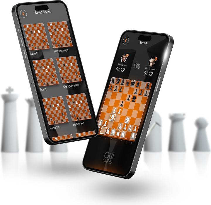 Image du produit Particula GoChess Mini