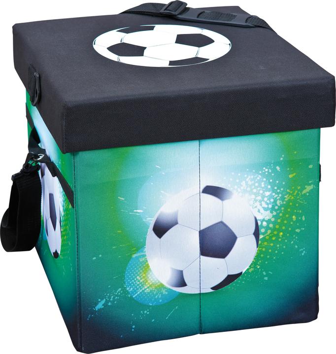 Actual product image Inter Link Folding box fan box I football (37 x 37 cm)