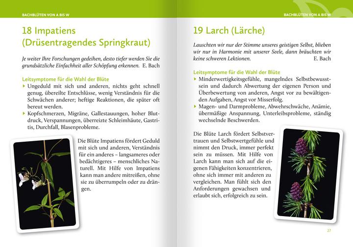 Actual product image Heilen mit Bachblüten. Das Kartenset (German, Anna E. Rcker, 2024)
