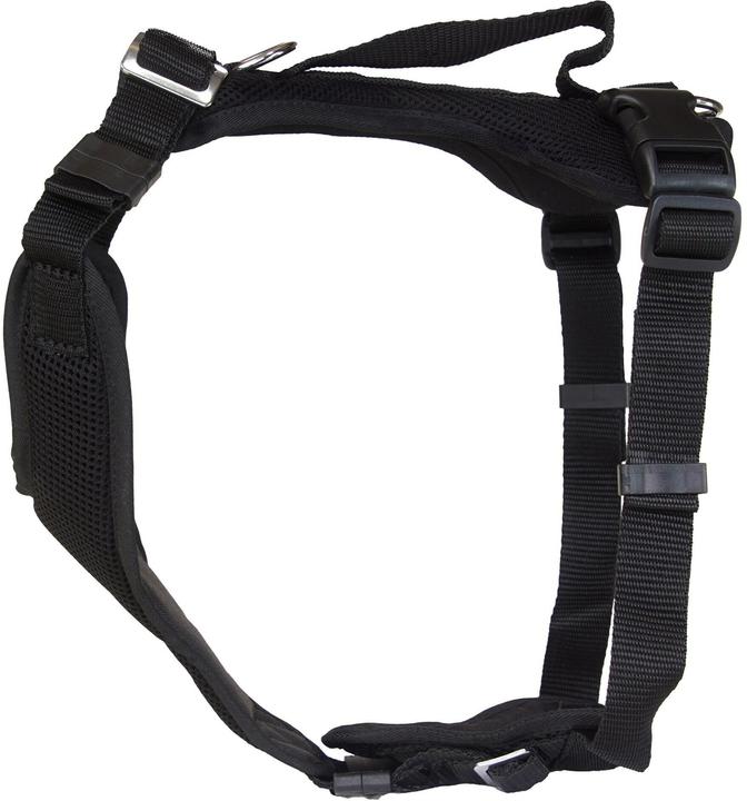 Immagine prodotto Grossenbacher Imbracatura per cuccioli Puppy FunRun Vario (S, Cane, Generale)