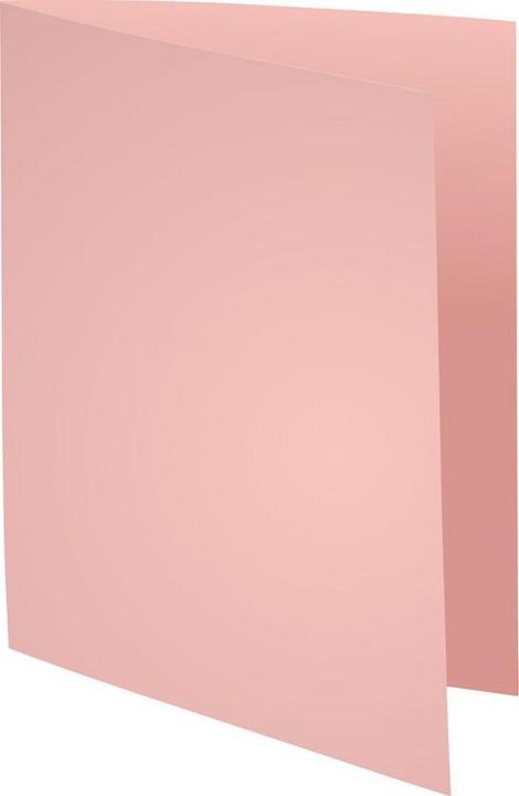 Actual product image Exacompta BAHIA 220 - File cover A4 (A4, 100 x)