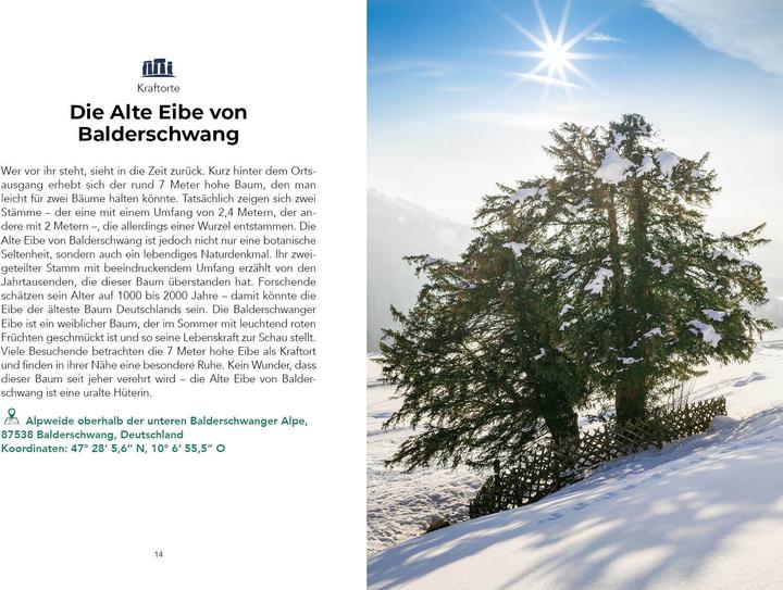Image du produit Böck:Verrückteste Reiseführer f.Alpen (Allemand, Daniel Wiechmann, Corinna Bück, 2025)