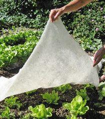 Produktbild GardenWool Wachstumsmatte