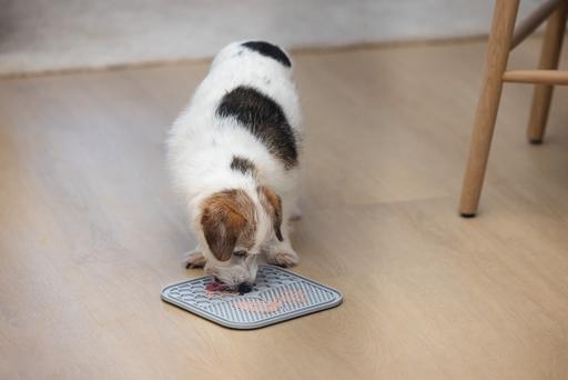 Produktbild Karlie Leckmatte Ava (Snackbeutel Hund)