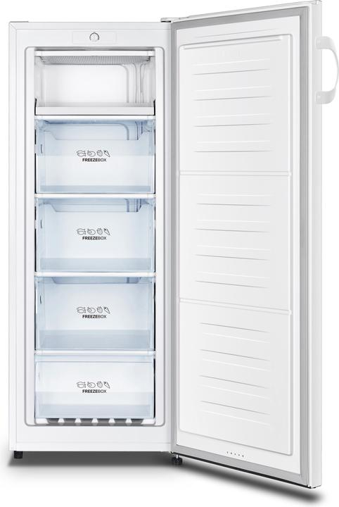 Image du produit Gorenje F4142PW (Autonome, 165 l)