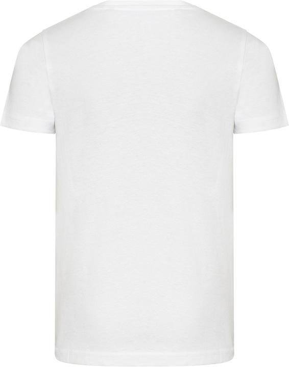 Actual product image Awdis Cascades Tshirt Organic Cotton (140, 146)