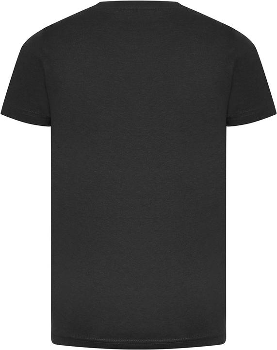 Actual product image Awdis Cascades Tshirt Organic Cotton (128)