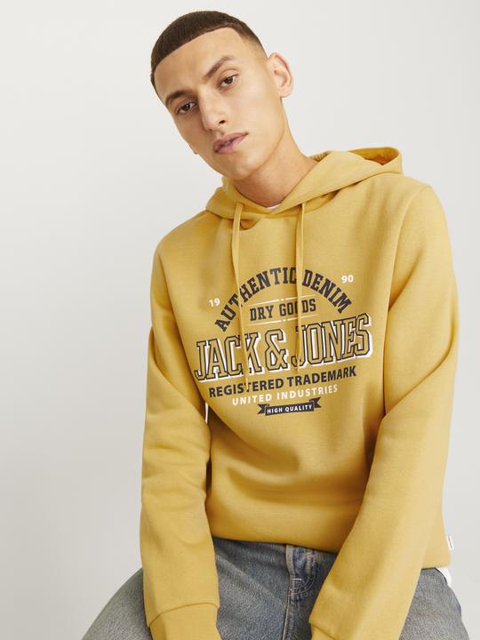 Actual product image Jack & Jones JJELOGO SWEAT HOOD 2 COL 24/25 NOOS (XXL)