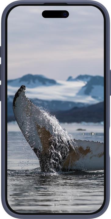 Image du produit dbramante1928 Greenland (Apple iPhone 16 Plus)