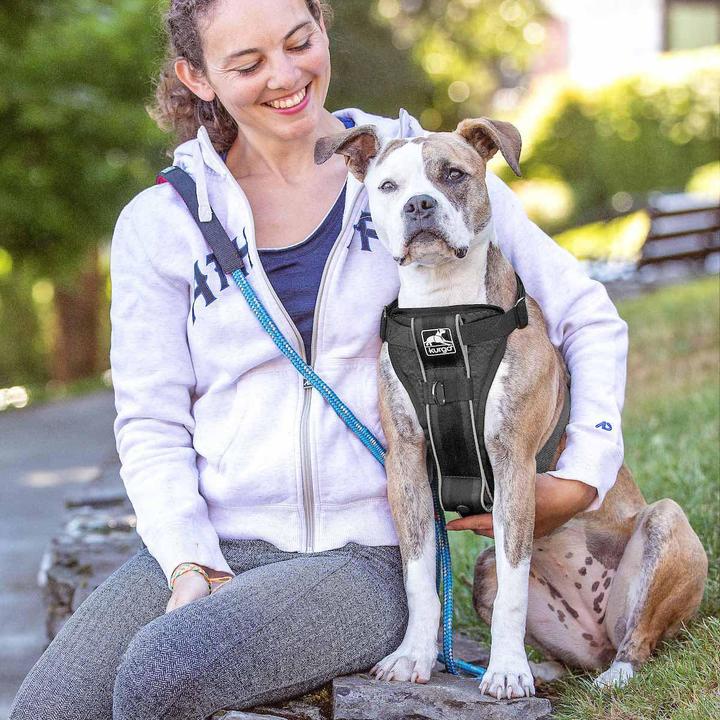 Image du produit Kurgo Tru-Fit Smart Harness w/ Seatbelt Tether M Noir - (604.1222) (M, Chien, Promenade)