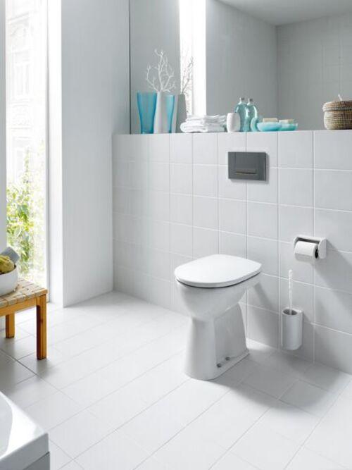 Actual product image Laufen Floor-standing WC PRO Wash-down, 6 l bahamabeige
