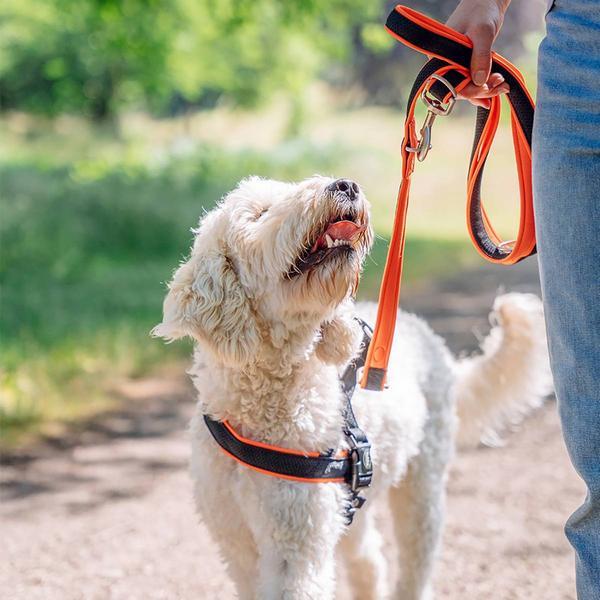 Produktbild Nobby Norwegergeschirr Mesh Preno (S, M, Hund, Allgemein)