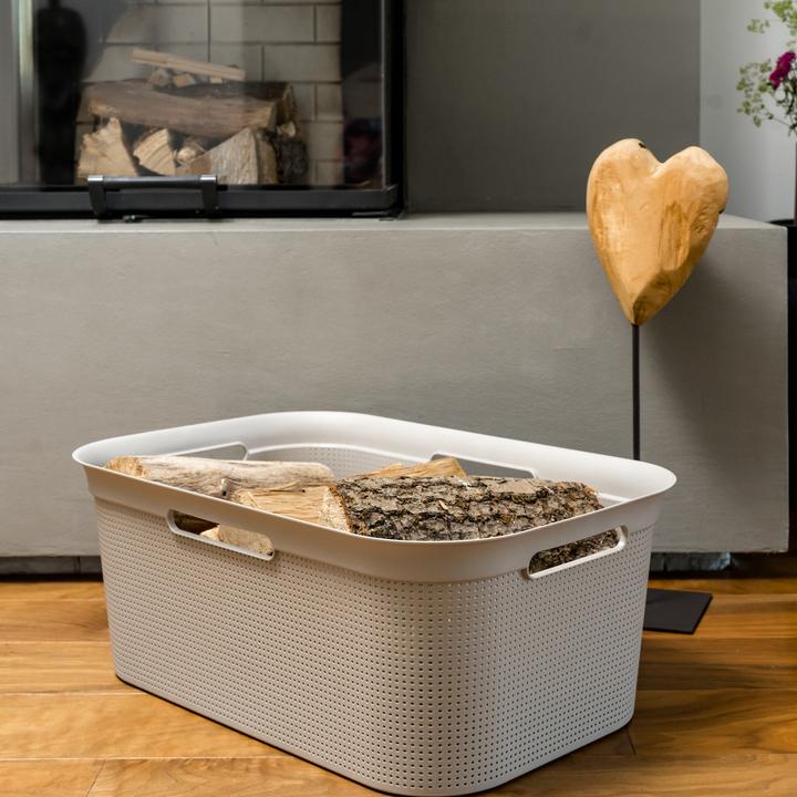 Actual product image Rotho Breezes (41 l)
