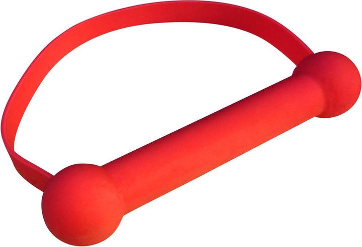 Creative Conceptions Quickie Gag Mouth Bit (Jeux de dés)