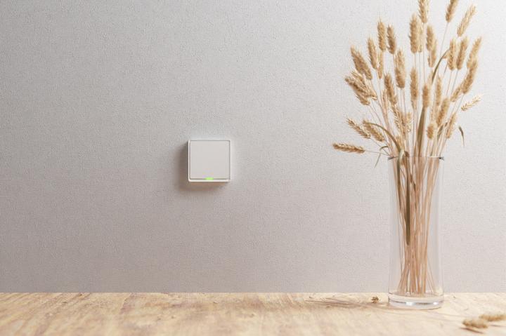 Actual product image Tesla TSL-SWI-ZIGBEE1