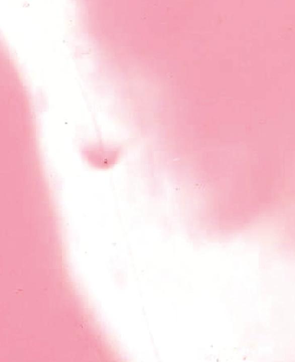 Immagine prodotto Hobbyring Set di 16 blocchi di cera per encausto, rosa