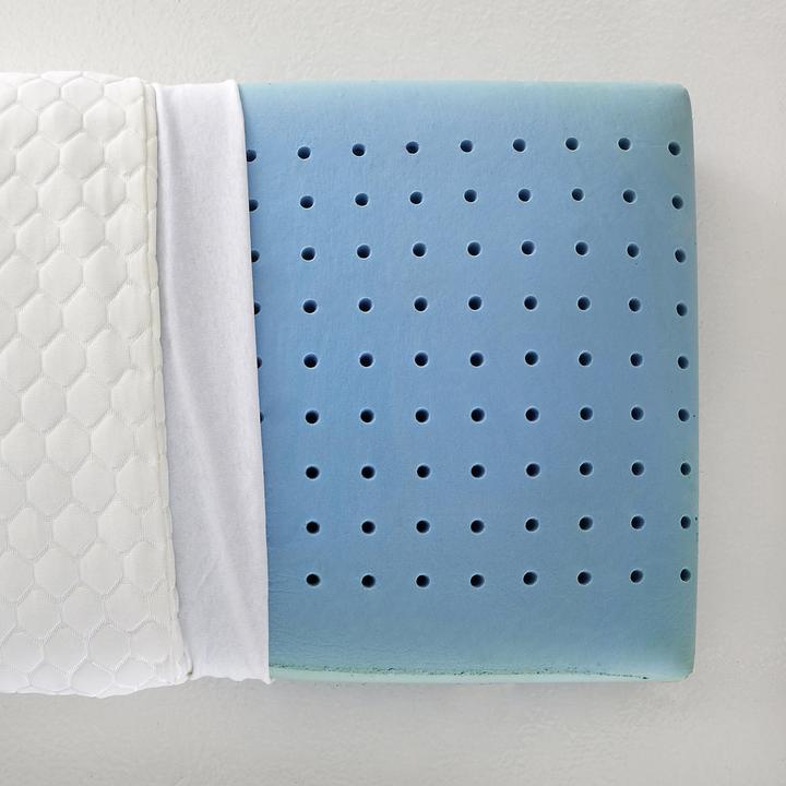 Image du produit La Redoute Interieurs Oreiller (55 x 55 cm)