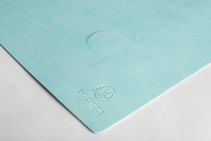 Actual product image Exacompta Desk pad (35 x 60 cm)