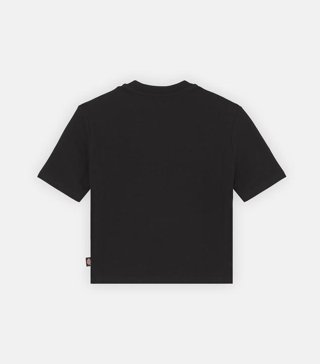 Dickies Maple Valley Tee Black (M)
