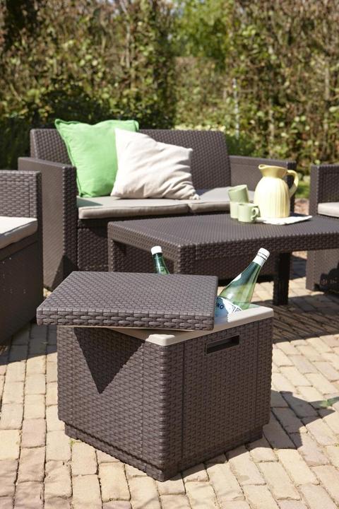 Image du produit Allibert Glaçon (40 l)