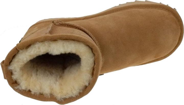 Actual product image Warmbat Wallaby (37)