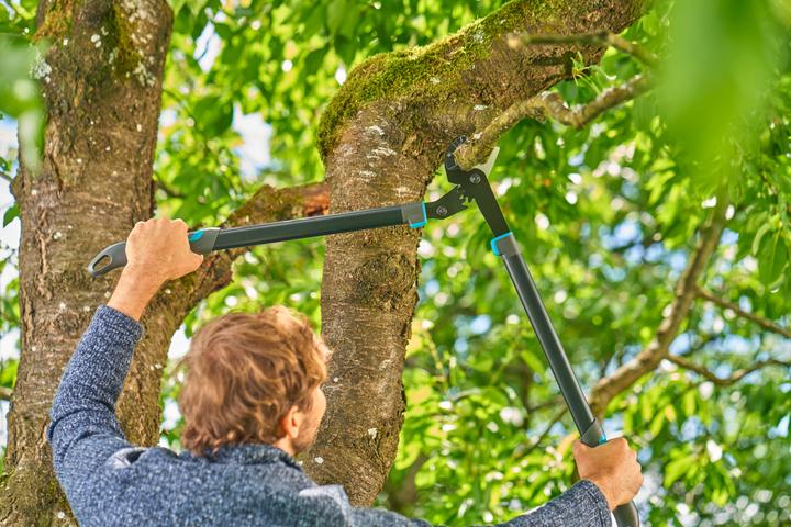 Immagine prodotto Gardena EnergyCut Pro L - forbici da potatura Anvil