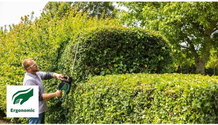 Actual product image Bosch Home & Garden AdvancedHedgeCut 65 (Electric hedge trimmer)