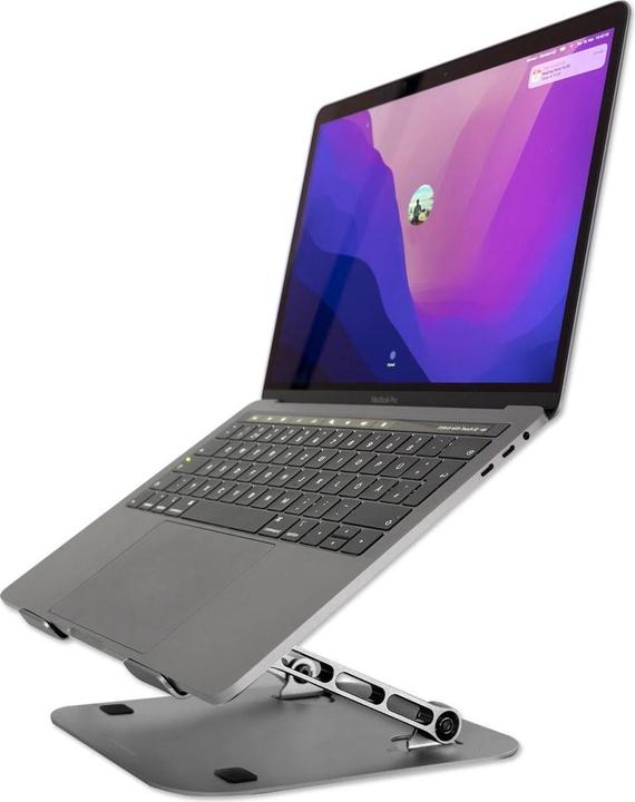 Actual product image 4smarts ErgoFix H22