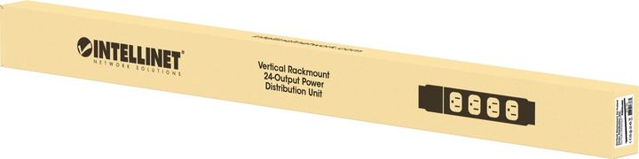 Actual product image Intellinet Power socket C13+C19 PDU vert. Mounting